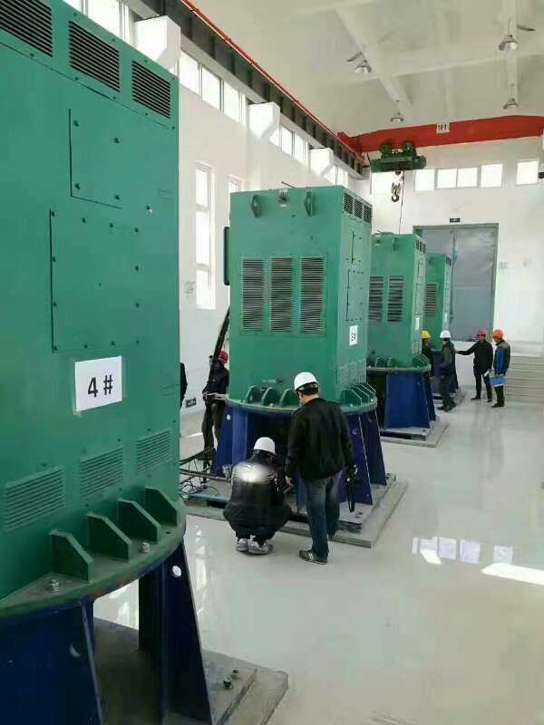 三伏潭镇某污水处理厂使用我厂的立式高压电机安装现场